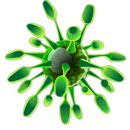 вирусы на сайте, как удалить вирус, как обнаружить